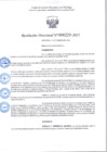 Vista preliminar de documento R.D 229-2025.pdf