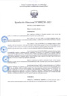 Vista preliminar de documento R.D 230-2025.pdf