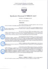 Vista preliminar de documento R.D 235-2025.pdf