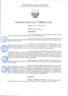 Vista preliminar de documento R.D 236-2025.pdf