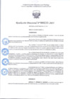 Vista preliminar de documento R.D 233-2025.pdf