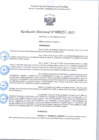 Vista preliminar de documento R.D 251-2025.pdf