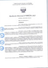 Vista preliminar de documento R.D 256-2025.pdf