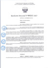 Vista preliminar de documento R.D 263-2025.pdf