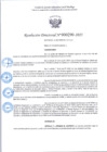 Vista preliminar de documento R.D 290-2025.pdf