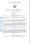 Vista preliminar de documento R.D 297-2025.pdf