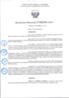 Vista preliminar de documento R.D 296-2025.pdf