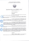 Vista preliminar de documento R.D 311-2025.pdf