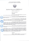 Vista preliminar de documento R.D 309-2025.pdf