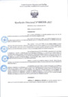 Vista preliminar de documento R.D 308-2025.pdf