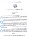 Vista preliminar de documento R.D 317-2025.pdf