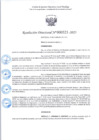 Vista preliminar de documento R.D 321-2025.pdf