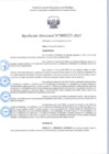 Vista preliminar de documento R.D 323-2025.pdf