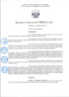 Vista preliminar de documento R.D 325-2025.pdf