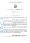 Vista preliminar de documento R.D 331-2025.pdf
