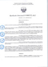 Vista preliminar de documento R.D 332-2025.pdf