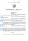 Vista preliminar de documento R.D 333-2025.pdf
