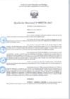 Vista preliminar de documento R.D 334-2025.pdf