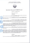 Vista preliminar de documento R.D 335-2025.pdf