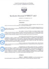 Vista preliminar de documento R.D 337-2025.pdf