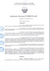 Vista preliminar de documento R.D 339-2025.pdf
