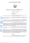Vista preliminar de documento R.D 347-2025.pdf