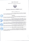 Vista preliminar de documento R.D 381-2025.pdf