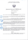 Vista preliminar de documento R.D 386-2025.pdf