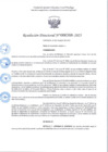 Vista preliminar de documento R.D 388-2025.pdf