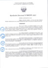 Vista preliminar de documento R.D 393-2025.pdf