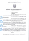 Vista preliminar de documento R.D 408-2025.pdf