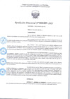 Vista preliminar de documento R.D 409-2025.pdf