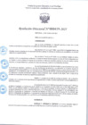 Vista preliminar de documento R.D 419-2025.pdf