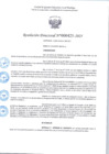 Vista preliminar de documento R.D 425-2025.pdf