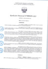Vista preliminar de documento R.D 428-2025.pdf