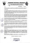 Vista preliminar de documento RESOLUCION N°358