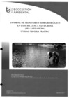 Vista preliminar de documento INFORME DE MONITOREO