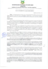 Vista preliminar de documento RESOLUCIÓN GERENCIAL Nº 112-2025-GSMyGA-MPPA-A