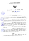 Vista preliminar de documento RD 1293-2025 NX