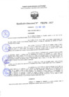 Vista preliminar de documento RD 1294-2025 NX