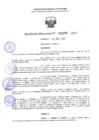 Vista preliminar de documento RD 1296-2025 NX