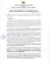 Vista preliminar de documento RESOLUCIÓN GERENCIAL Nº 114-2025-GSMyGA-MPPA-A