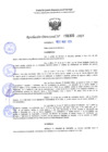 Vista preliminar de documento RD 1305-2025 NX