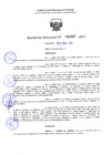 Vista preliminar de documento RD 1307-2025 NX