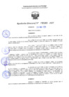 Vista preliminar de documento RD 1310-2025 NX