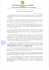 Vista preliminar de documento RESOLUCIÓN GERENCIAL Nº 116-2025-GSMyGA-MPPA-A