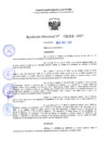 Vista preliminar de documento RD 1314-2025 NX