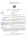 Vista preliminar de documento RD 1315-2025 NX