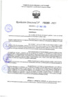 Vista preliminar de documento RD 1316-2025 NX