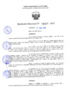 Vista preliminar de documento RD 1317-2025 NX